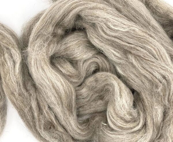BLUE FACED LEICESTER wool top - Oatmeal - Image 3