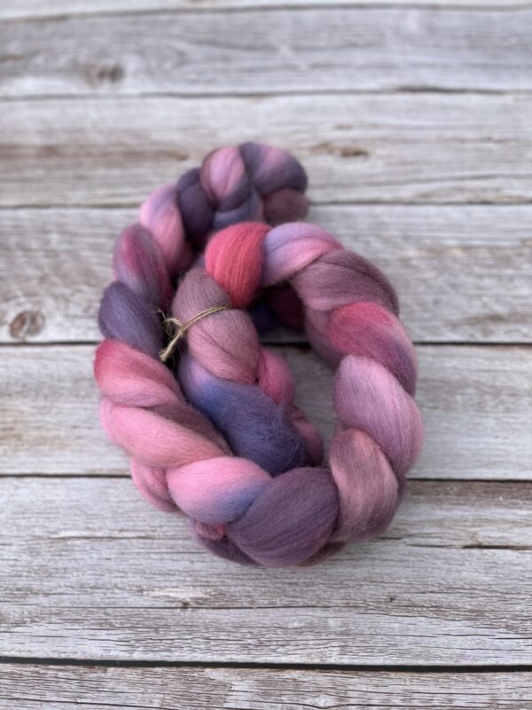 Polwarth - Image 4