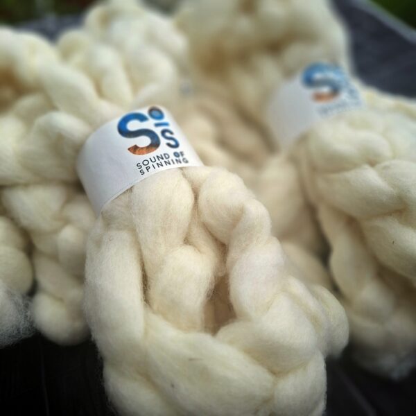 CORRIEDALE wool sliver - White - Image 4